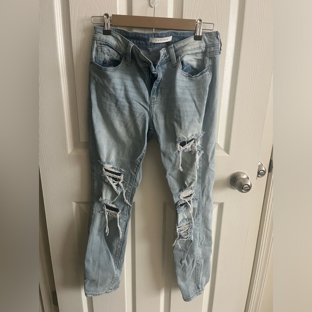 Windsor Ripped Skinny Ankle Jeans
